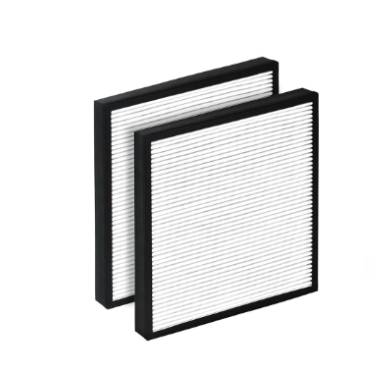 Wynd Max WYND-FLRHMEV01 Replacement HEPA Filter - 2-Pack