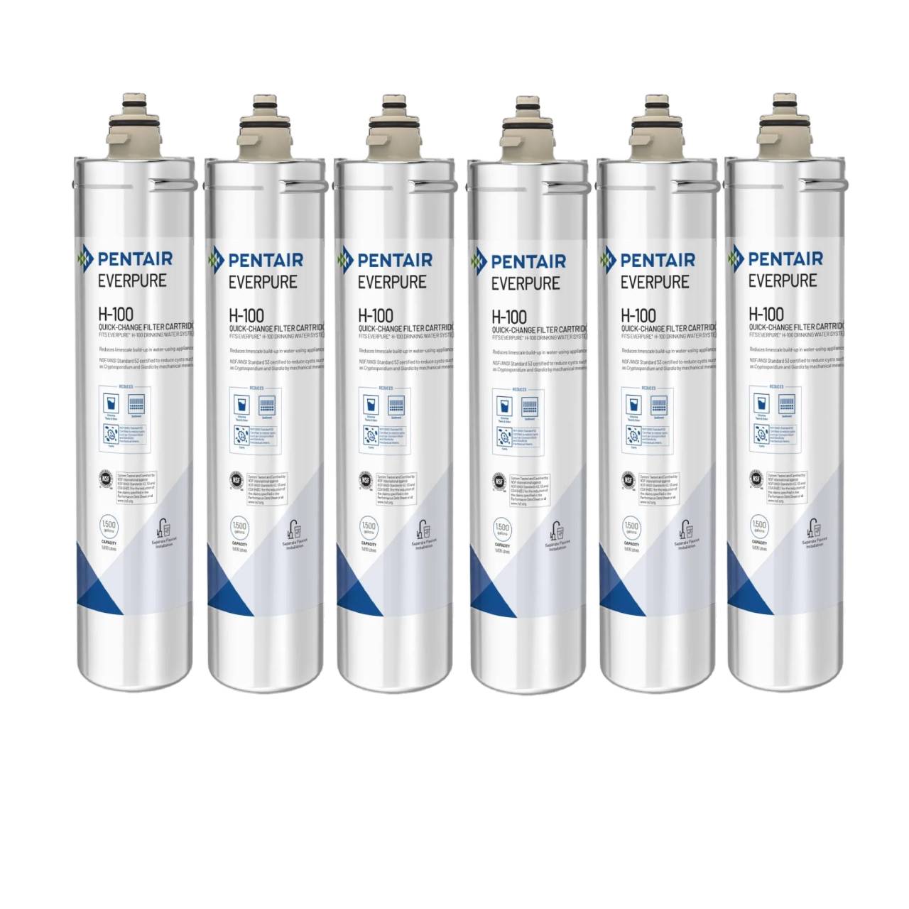 Everpure EV9611-16 H-100 Replacement Water Filter Cartridge - 6-Pack